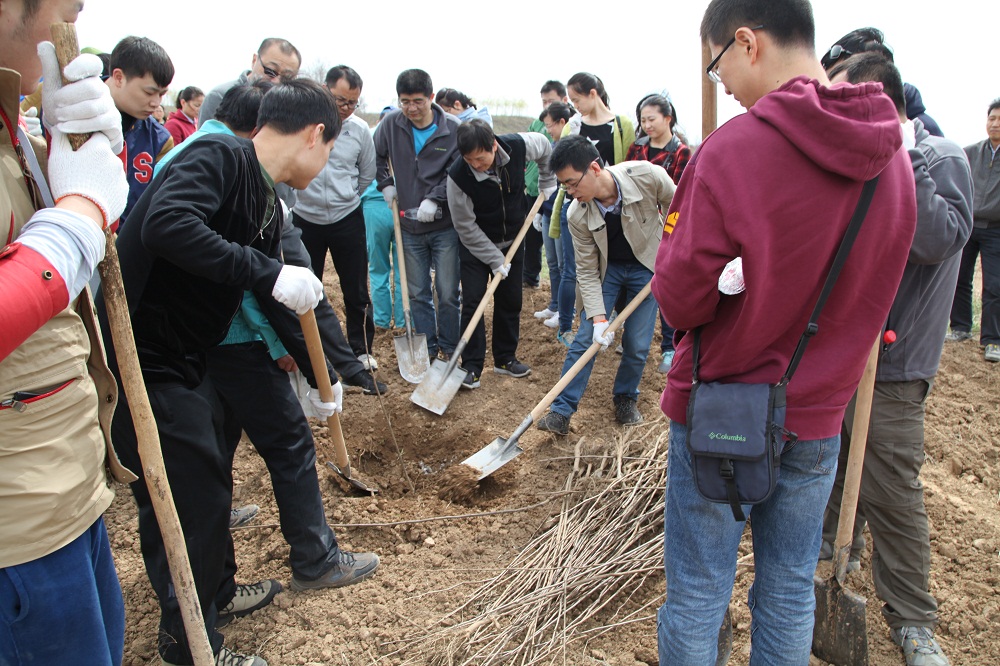 2024新澳门原料网点站